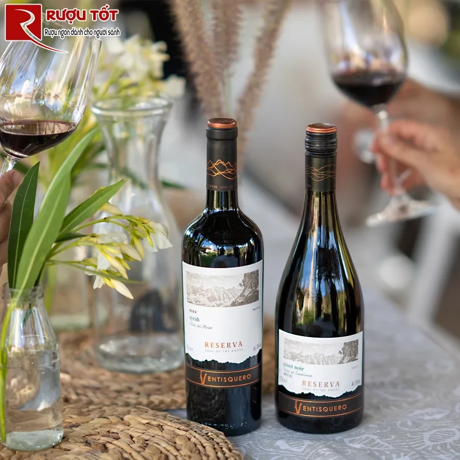 Rượu Ventisquero Reserva Carmenere