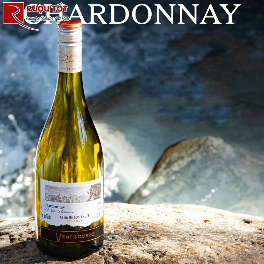 Rượu Ventisquero Reserva Chardonnay