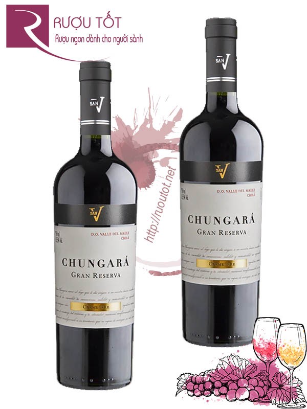 Rượu vang Chile San V Chungara Carmenere Gran Reserva