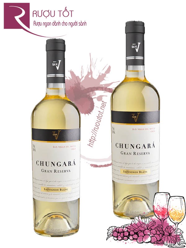 Rượu vang trắng Chile San V Chungara Sauvignon Blanc Gran Reserva 13 độ