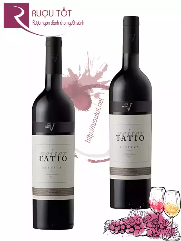 Rượu vang Chile San V Geiser Tatio Carmenere Reserva Giá Rẻ