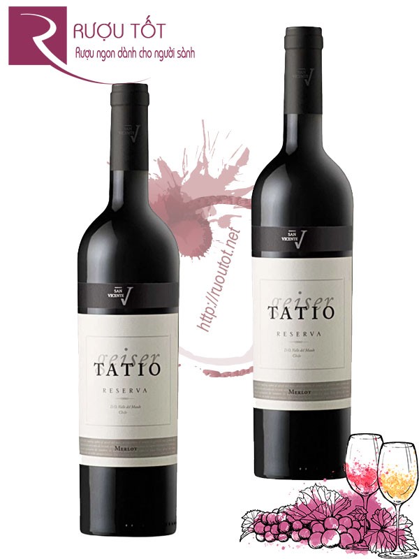 Rượu vang Chile San V Geiser Tatio Merlot Reserva Giá rẻ
