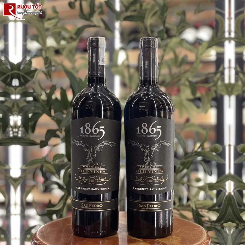 Vang Chile 1865 Old Vines