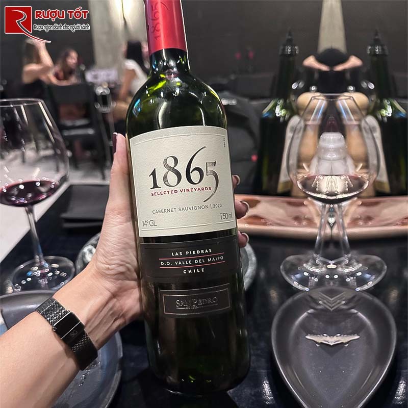 Vang Chile 1865 Selected Vineyards Cabernet Sauvignon