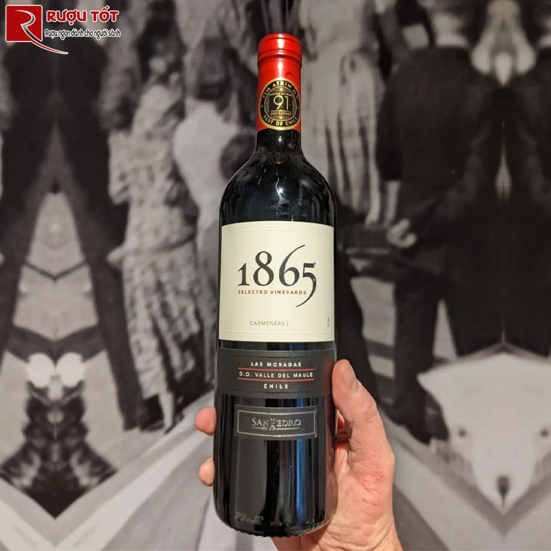 Vang Chile 1865 Selected Vineyards Carmenere