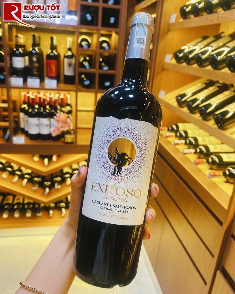 Vang Chile Exitoso Reserva