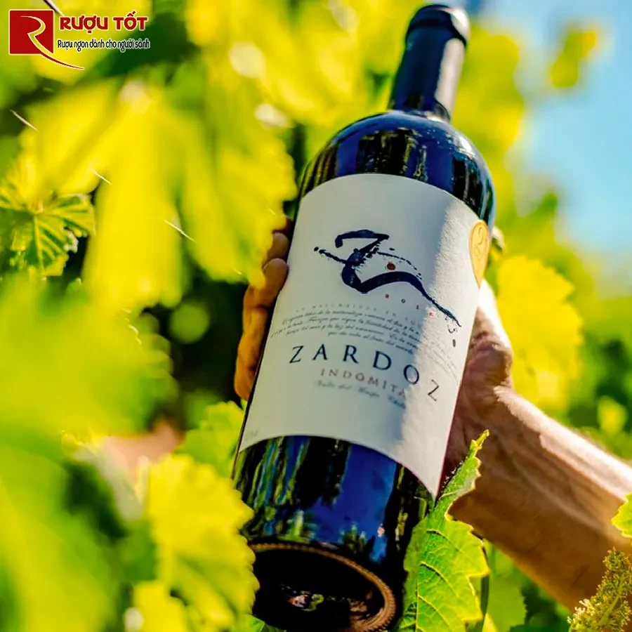 Vang Chile Zardoz Indomita Maipo Valley