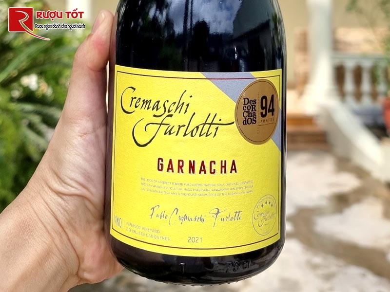 Vang Cremaschi Furlotti Limited