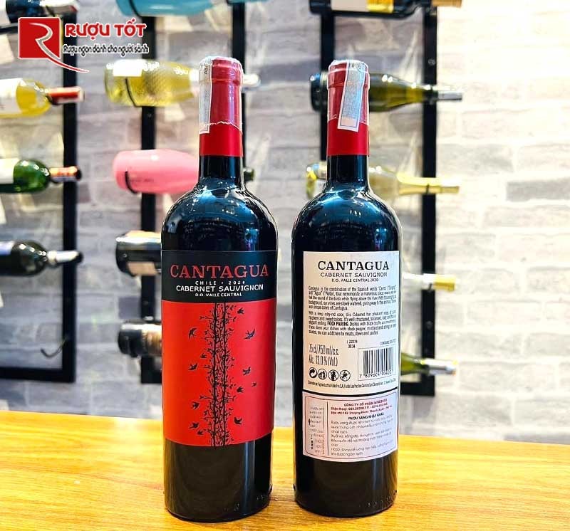 Vang đỏ Cantagua Classico