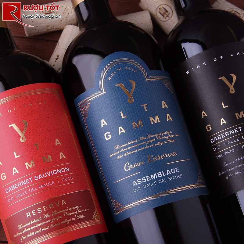 Vang Gamma Alta