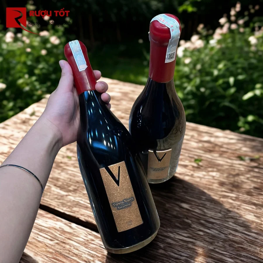 viento norte limited