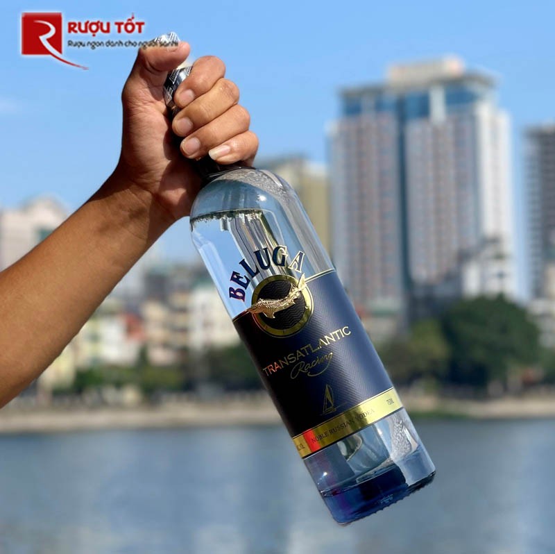 Rượu Beluga Transatlantic