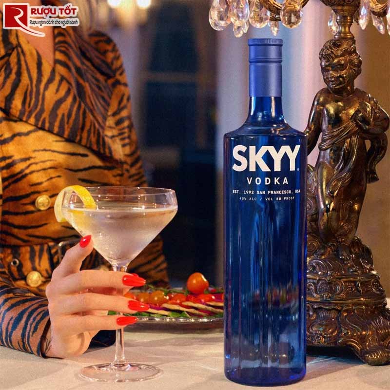 Skyy Vodka Origin
