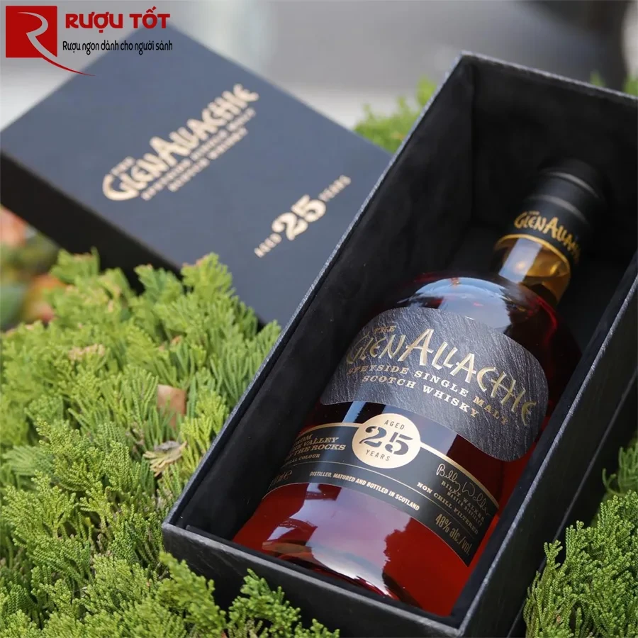 Glenallachie 25 Years Old