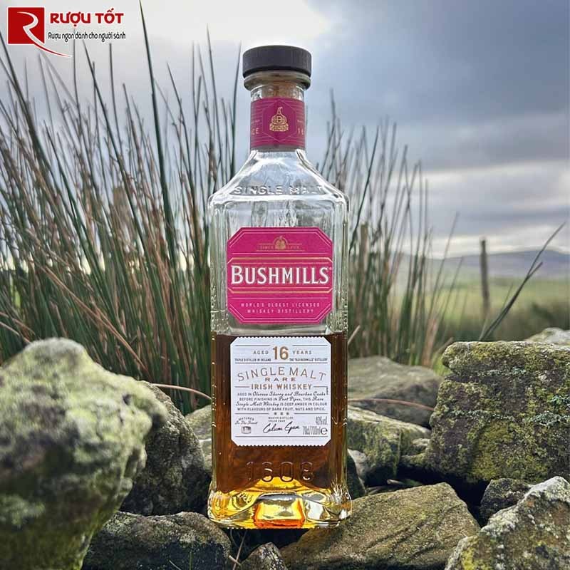 Rượu Bushmills 16 YO
