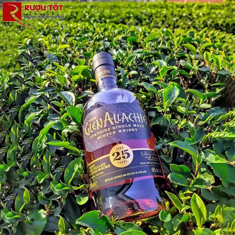 Ruou Glenallachie 25