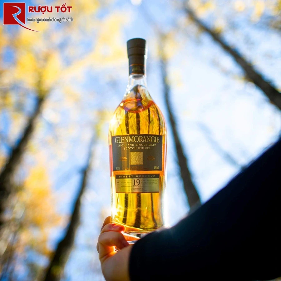 rượu glenmorangie 19