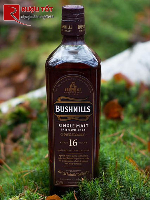 Rượu Whisky BushMills 16 năm nhập khẩu