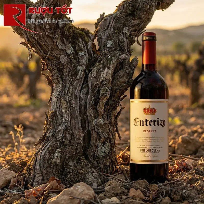 enterizo reserva utiel requena