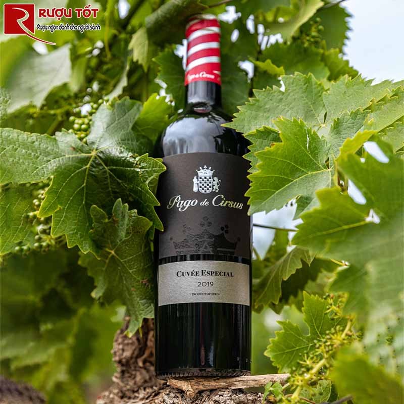 Pago de Cirsus Cuvee Especial