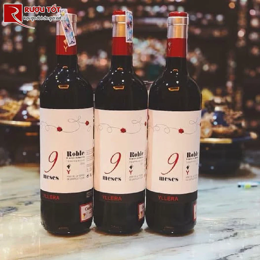 ruou 9 meses yllera tempranillo