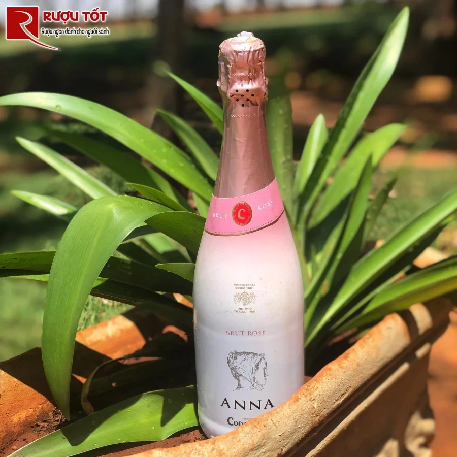 ruou anna de codorniu rose brut