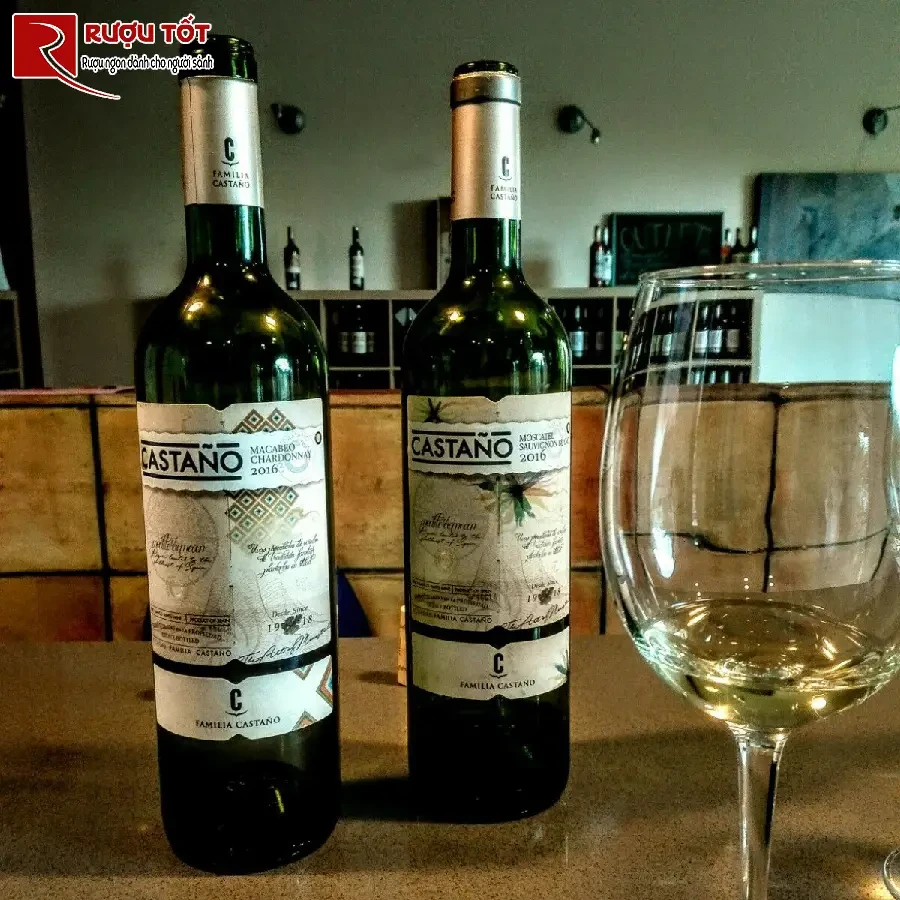 ruou castano macabeo chardonnay