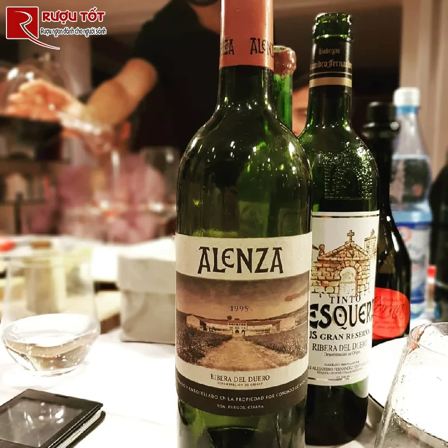 ruou condado de haza alenza gran reserva