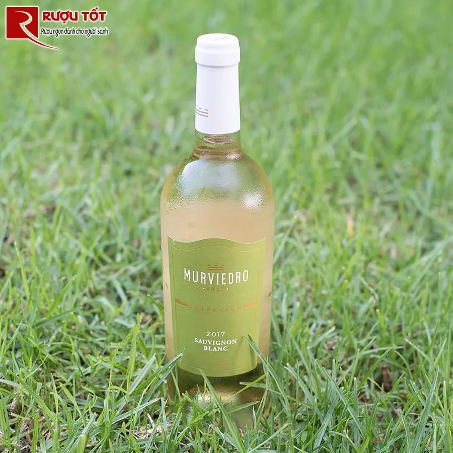 ruou murviedro coleccion sauvignon blanc