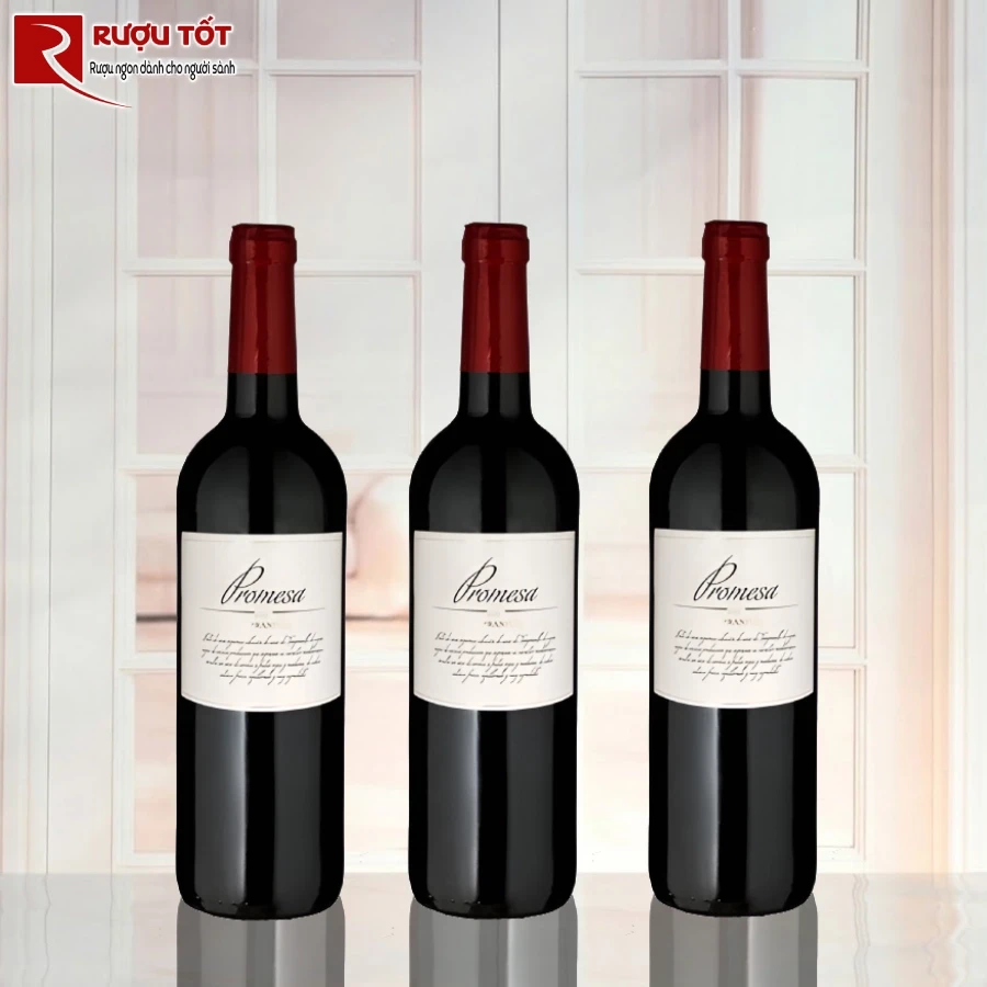 ruou promesa ego bodega tempranillo do jumilla