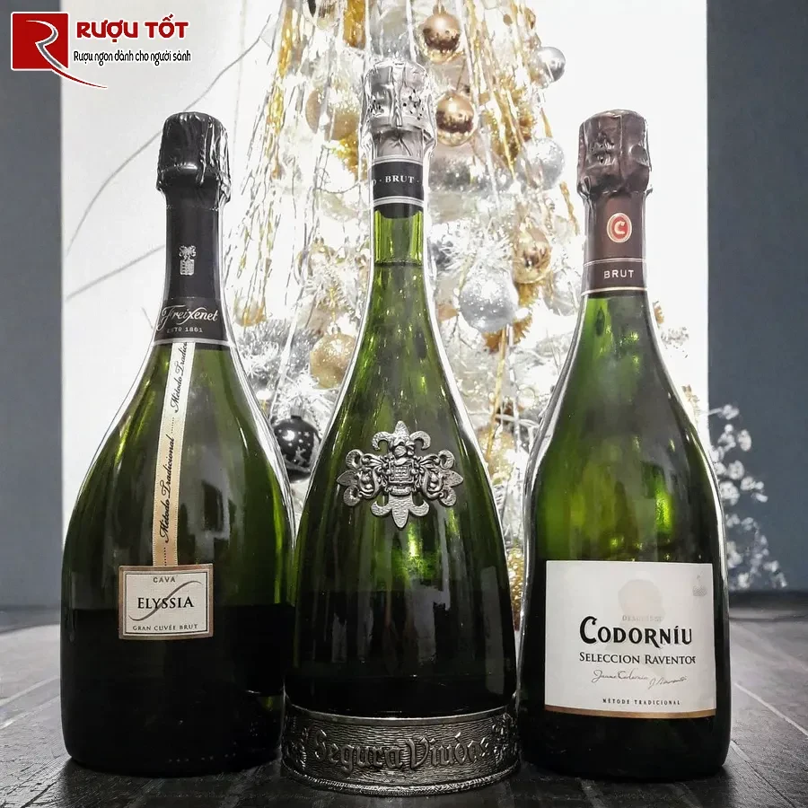 ruou vang codorniu reserva raventos