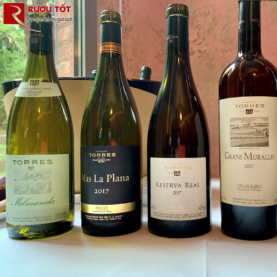 Rượu Vang đỏ Mas La Plana Torres