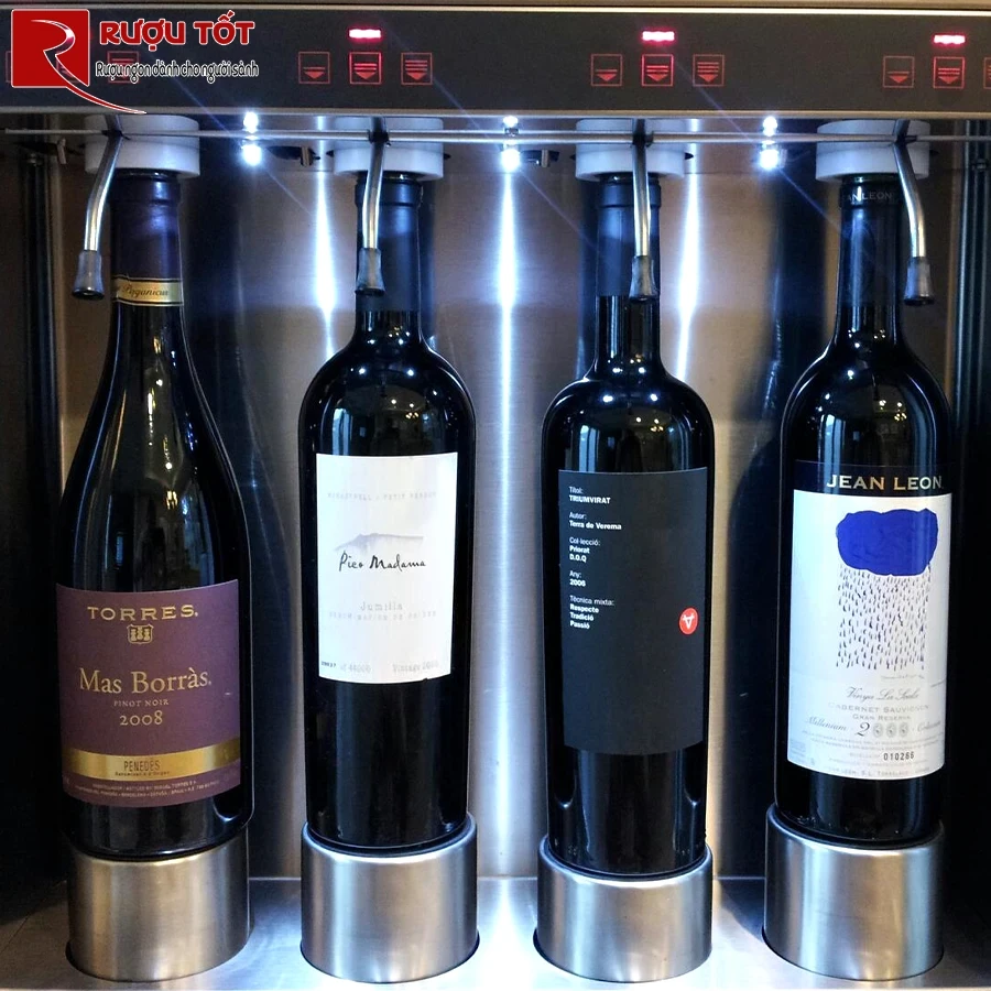 Rượu vang đỏ Torres Mas Borras Pinot Noir