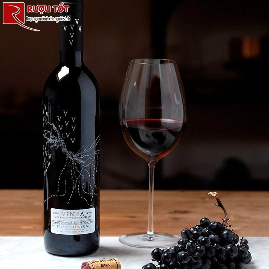 Rượu vang Finca Museum Vinea Crianza