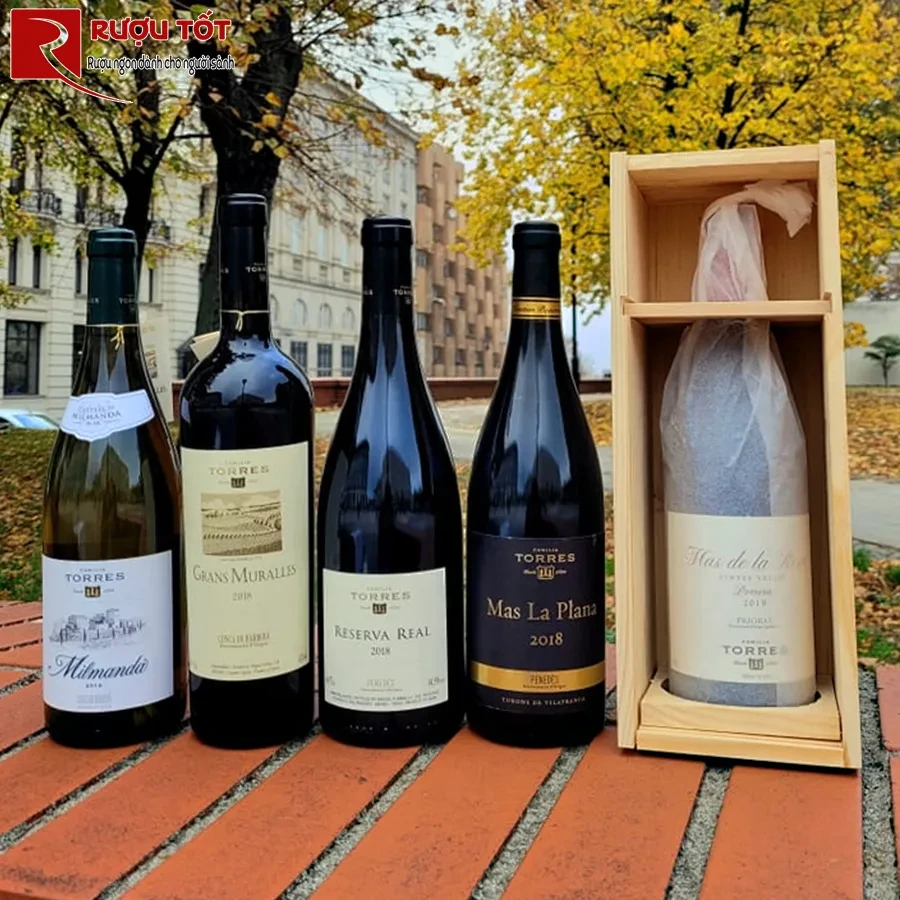 Rượu vang Grans Muralles Torres-1