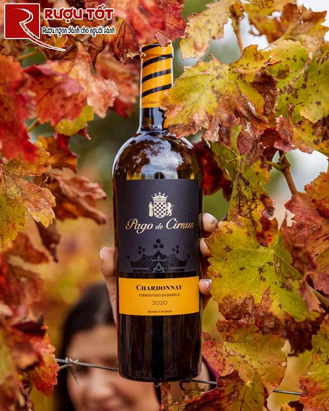 Pago de Cirsus Chardonnay Fermentado