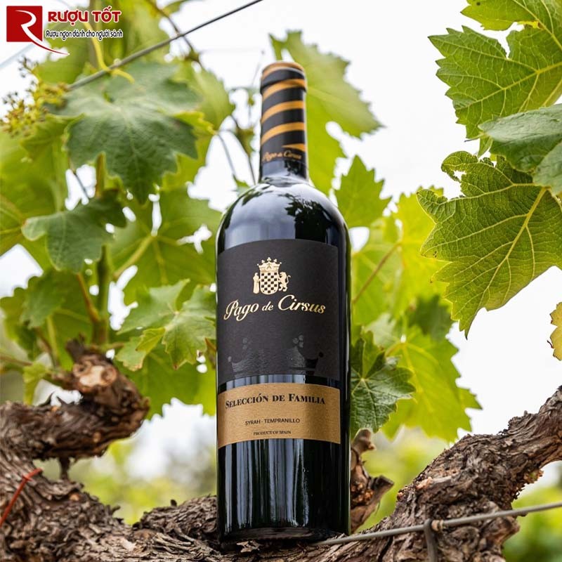 Rượu Vang Pago de Cirsus Seleccion de Familia