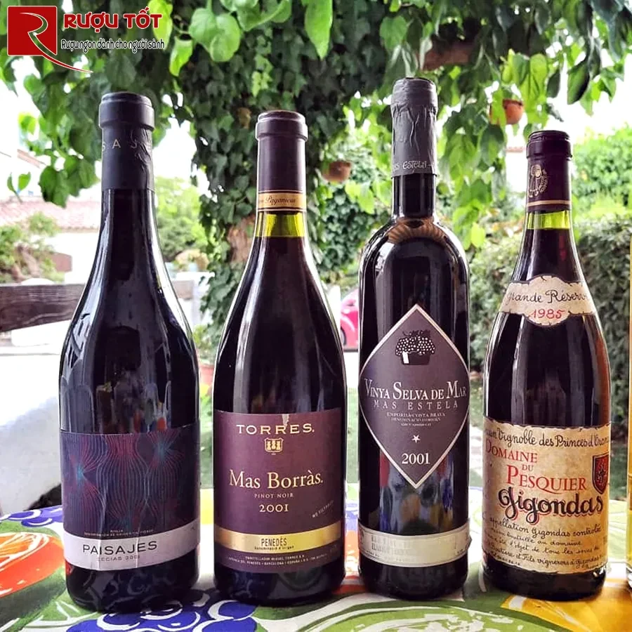 Rượu vang Torres Mas Borras Pinot Noir