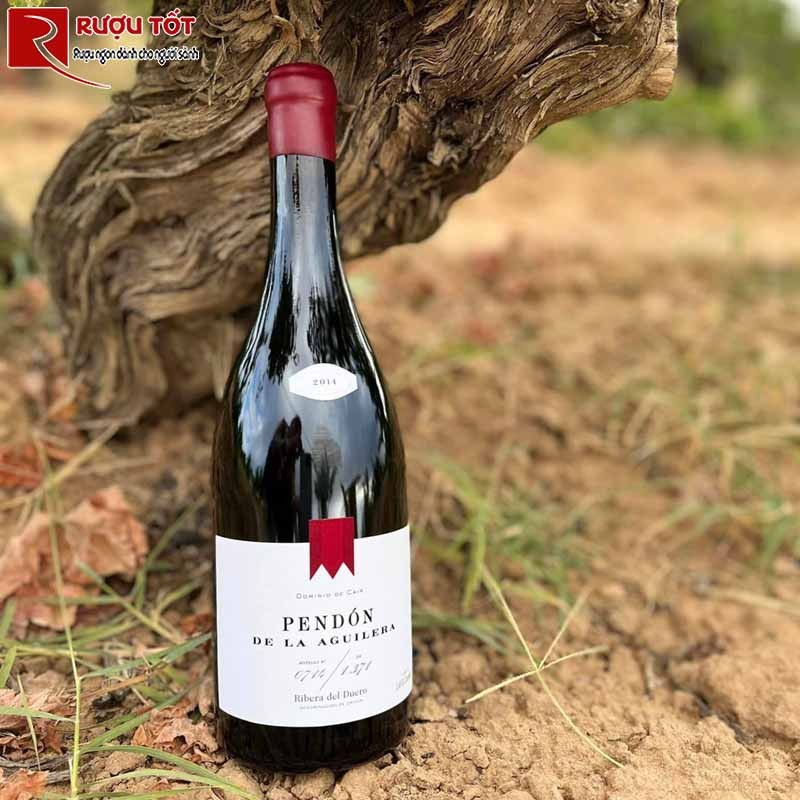 pendon de la aguilera