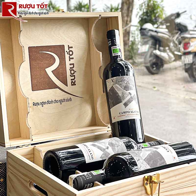 Vang castillo campo llano