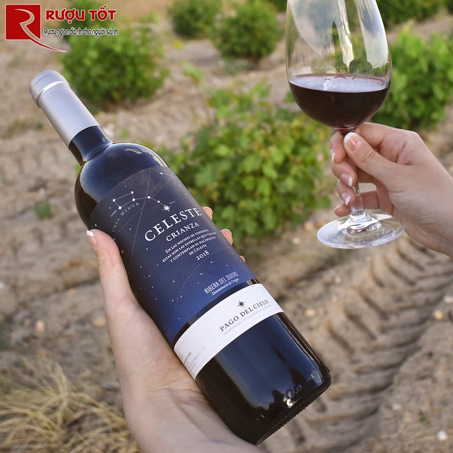 vang Celeste Crianza Ribera del Duero