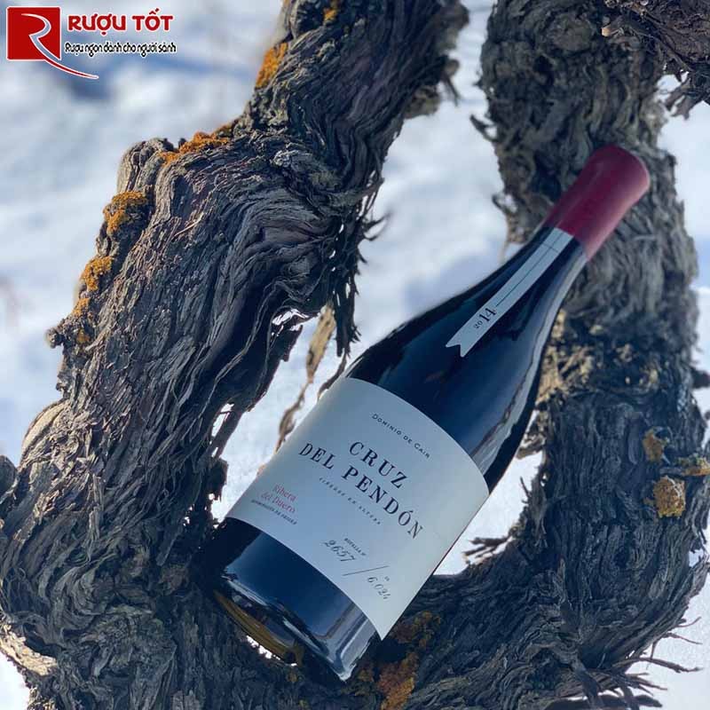 vang Cruz del Pendon