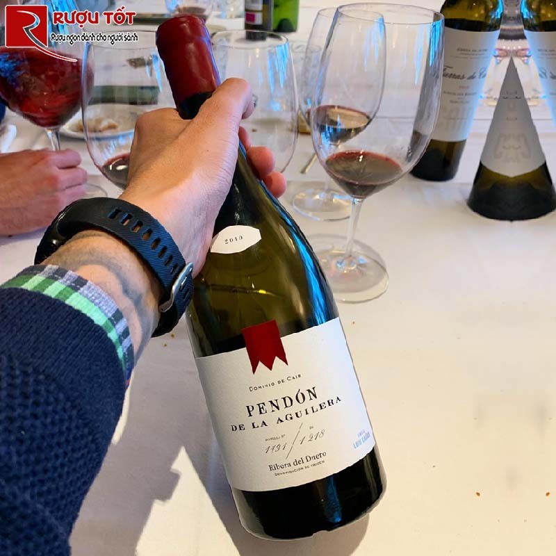 pendon de la aguilera