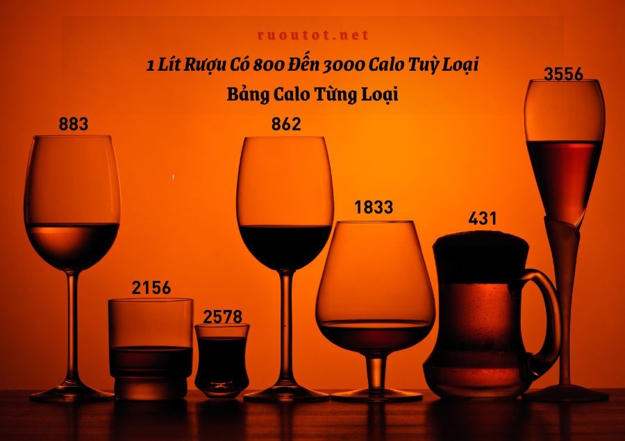 1 Lít Rượu Có 800 Đến 3000 Calo Tuỳ Loại - Bảng Calo Từng Loại