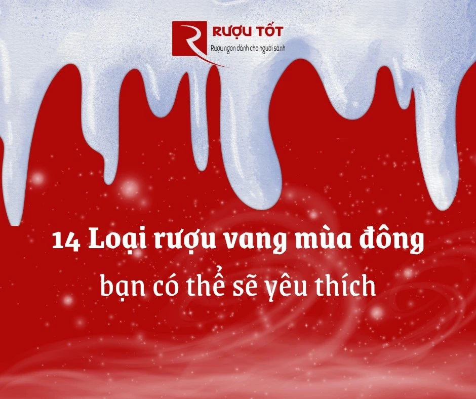 14 Loại rượu vang mùa đông bạn có thể sẽ yêu thích