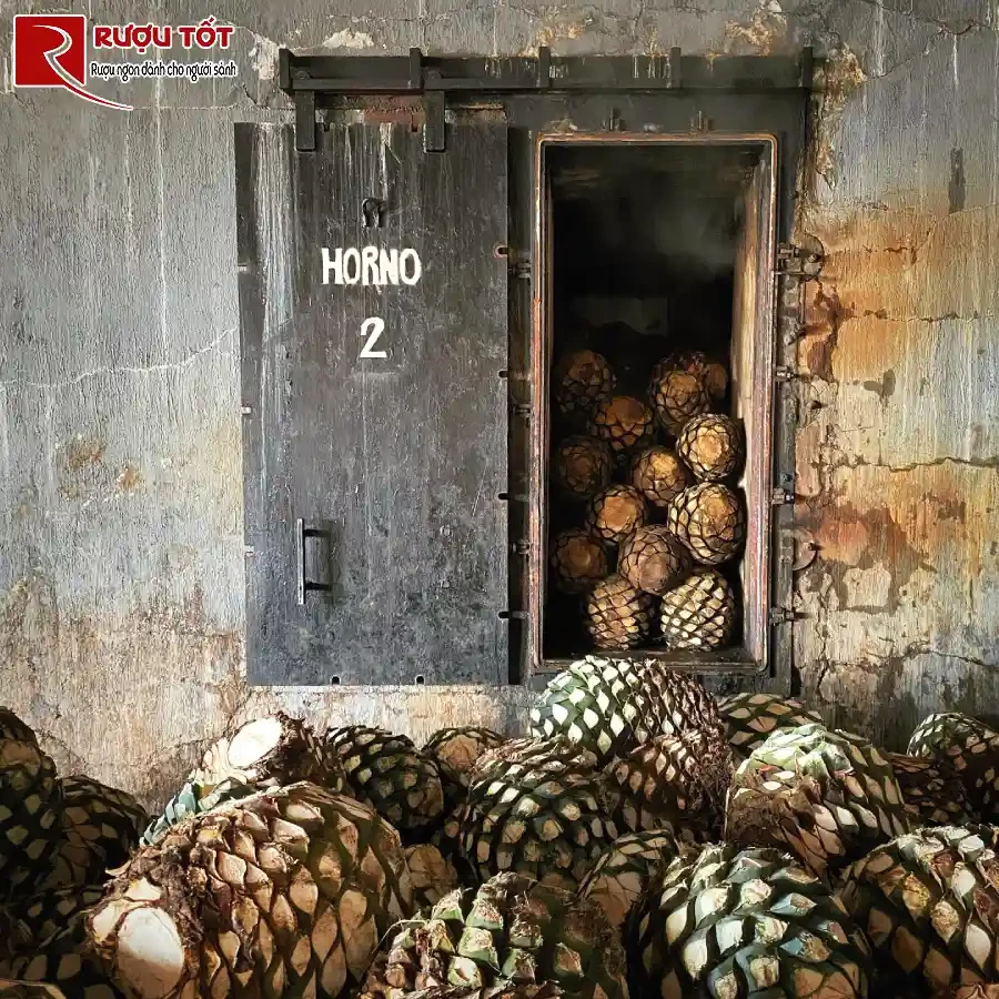 29 thuat ngu ve ruou tequila