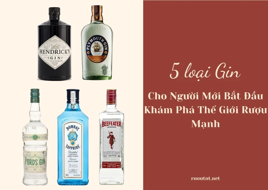 5 Loại Gin Cho Người Mới Bắt Đầu Khám Phá Thế Giới Rượu Mạnh