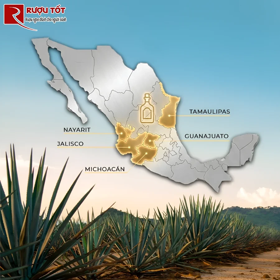 5 vung san xuat tequila hop phap tai mexico