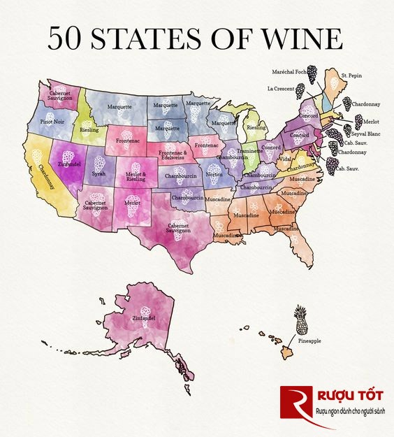 50 tiểu bang Mỹ sản xuất rượu vang
