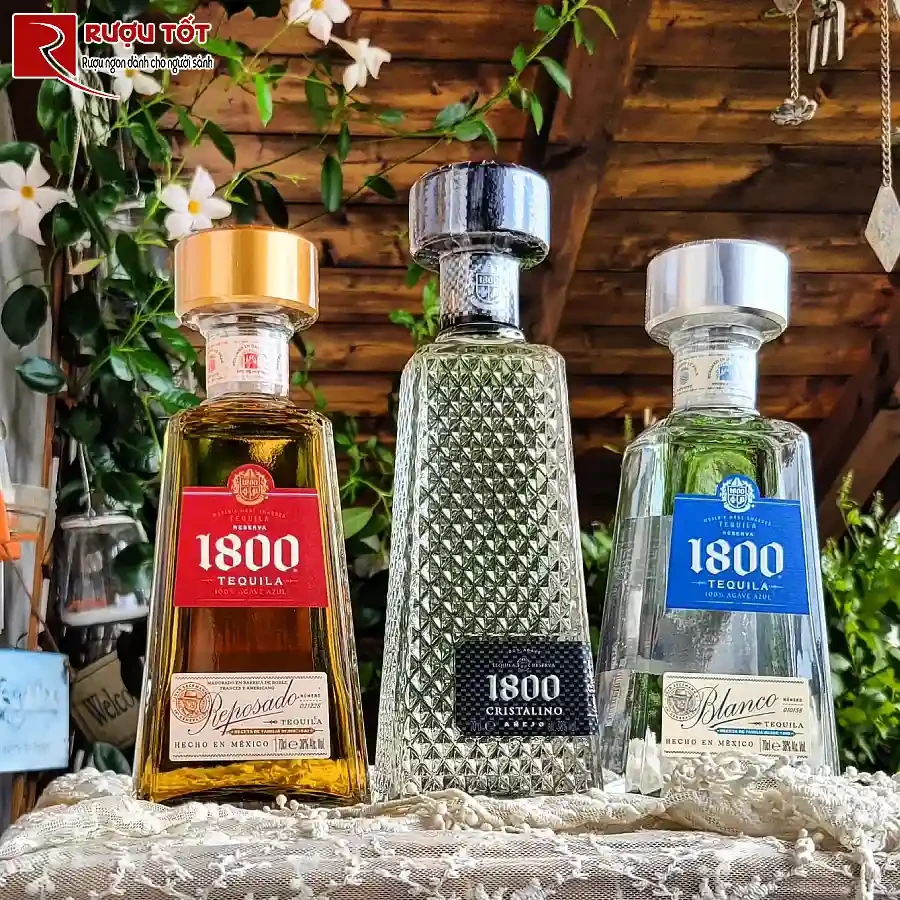 7 lam tuong ve ruou tequila va mezcal nhieu nguoi mac phai